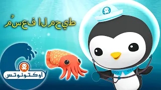 أوكتونوتس | 🩹 مُسعف المحيط 🐧 | حلقات مُجمّعة لـ"بيزو" | حلقات مجمعة