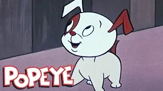 Classic Popeye: Episode 11 (Dog Catcher Popeye AND MORE)