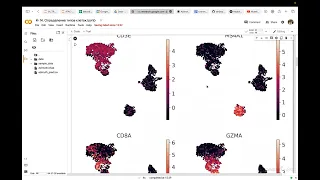 Исаев С.В. - Анализ транскриптомных данных - Семинар 14. Алгоритм автоматического опр. типов клеток