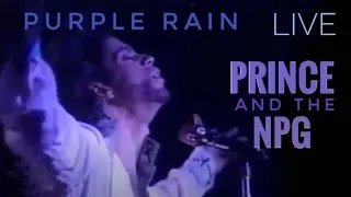 PRINCE & THE NPG🎤 Purple Rain (Live in Tokyo) 1990