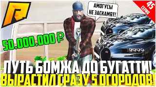 ПУТЬ БОМЖА ДО БУГАТТИ ЗА 50 МЛН. РУБЛЕЙ! РАЗВИВАЮСЬ БЕЗ ДОНАТА! ВЫРАСТИЛ 5 ОГОРОДОВ! - RADMIR CRMP