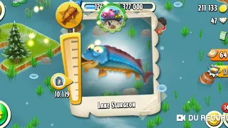 HAY DAY TRICK: How to catch a rare fish.