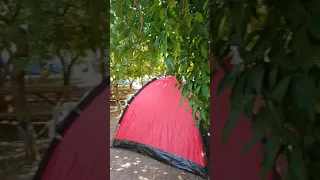 Kamplar/Camping.  Antalya Adrasan'da Kum Kamping