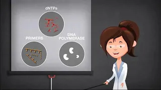 Basics of PCR