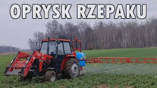 Wiosna 2024 🔥 Marcowy oprysk rzepaku 🔥 Ursus 3512 i opryskiwacz Biardzki P329 w akcji