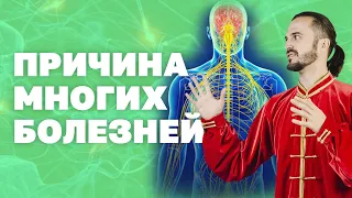 Нарушение работы нервной системы! Упражнение от всех болезней! Одна причина многих болезней!