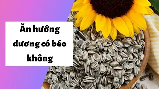 Ăn hướng dương có béo không? Cách giản cân với hướng dương tốt cho sức khỏe