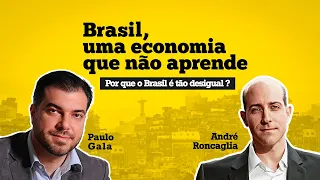 Por que o Brasil é tão desigual?