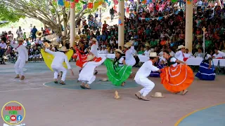 💃🕺🚨sones y chilena de puchutla presentado grupo folclórico  de oaxaca 🚨🚨  santa cruz zenzontepec💃‼️📡