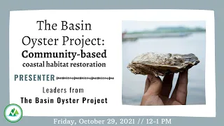 Lunch & Learn: The Basin Oyster Project | Community-based coastal habitat restoration