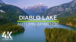 Relaxing Bird Songs at Diablo Lakeside - 8 HOURS of Birds Chirping & Gentle Waves Sound