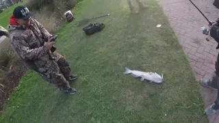 Detroit river walleye fishing