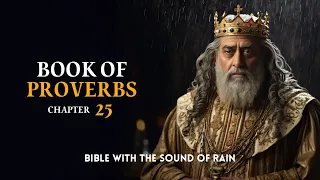 Proverbs 25 | Bible with the sound of rain