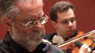 Rondo Veneziano Chamber Orchestra 1