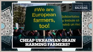 Romanian Farmers Call EU Compensation An Insult Amid Plunging Grain Prices