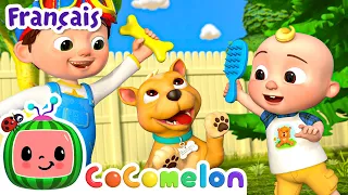 Voila comment on lave le chien | Épisode Complet | CoComelon en Français | Chansons pour bébés