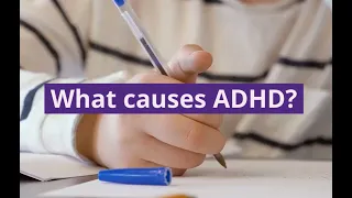 What Causes ADHD & How To Address It