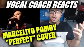 Vocal Coach REACTS to Marcelito Pomoy - Perfect