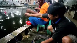 Mancing Galatama lele di telaga hanoman jkt bersama Arjuna Ireng