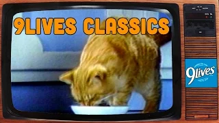 Morris the Cat: "Go Home" Classic Commercial