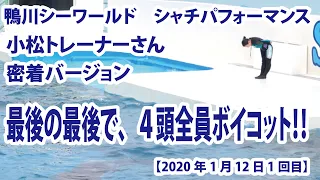 最後の最後で、４頭全員ボイコット！　小松トレーナーさん密着バージョン【2020年1月12日1回目　鴨川シーワールド　シャチパフォーマンス】