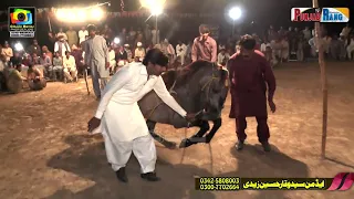 Rehmatرحمت l Horse Dance Mati Tal Athangal Cjowke Multan l 9 November 2020