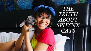 6 Things They Don't Tell You About Sphynx Cats!