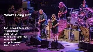 "What's Going On?" Cover by Tedeschi Trucks Band & Los Lobos - 8/5/2016 Red Rocks