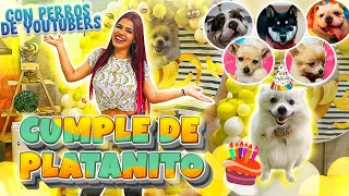 LE HAGO A MI PERRO LA FIESTA QUE YO NUNCA TUVE - MARIANA