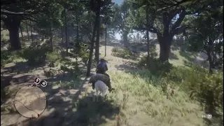 Rdr2 very rare male moose spawned :)