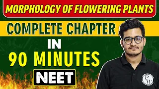 MORPHOLOGY OF FLOWERING PLANTS in 90 minutes || Complete Chapter for NEET