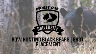 Bow Hunting Black Bears | Shot Placement