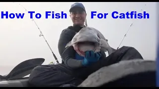 How To Fish For and Catch Catfish From The Bank Or Kayak | Catfishing Baits, Tips and Tackle