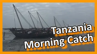 Tanzania - Bagamoyo: Return of the fishermen