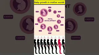 Embryonic Development month by month in mother womb ❤️🤰#shorts #pregnancy #viral