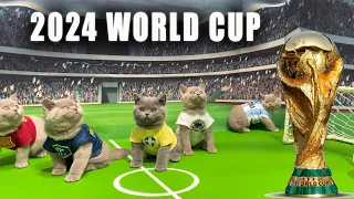 NEW! CATS KITTENS WORLD CUP ⚽️ ANNOUNCEMENT!