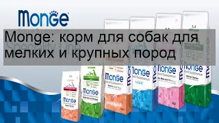 Monge: корм для собак для мелких и крупных пород