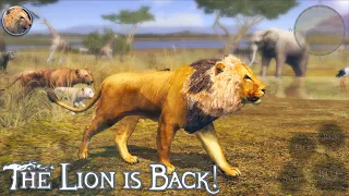 Ultimate Lion Simulator 2, Lion VS Elephant, leopard, Cheetah and More, By Gluten Free Games