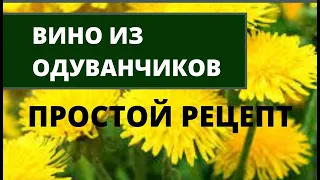 Вино из одуванчиков рецепт. Как сделать натуральное вино в домашних условиях