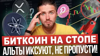 🚨БИТКОИН ИЛИ АЛЬТЫ — что выбрать СЕЙЧАС? Разбор по BTC и крипте