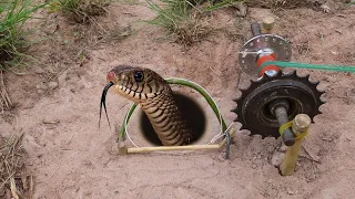 EASY SNAKE TRAP_ Installing Unique Quick Snake Trapping Using Bike Crank Work 100%.