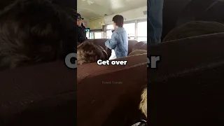 kid tries to run from cop