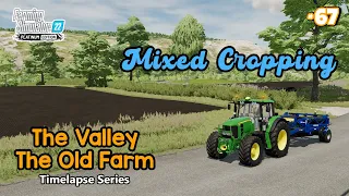 Planting Two Crops in the Same Field, Buying Power Roller - FarmingSim22 The Valley The Old Farm #67