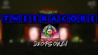 Tweekacore en EDC MEXICO 2020 - Drops Only - Tweeka Family MX