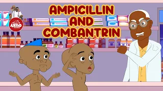 Ampicillin and Combantrin