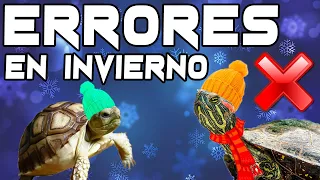 EVITA HACER ESTAS 10 COSAS EN INVIERNO CON TUS TORTUGAS