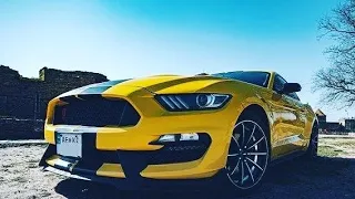 Сходка Ford Mustang Club Ukraine в сонячній Одесі 😍🤤