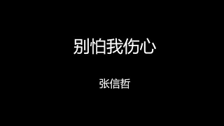 张信哲 - 别怕我伤心 【歌词版】