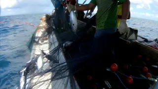 Berburu ikan tongkol KM. MAHFUZHA