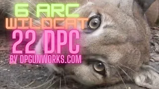 6 ARC WILDCAT !!!  The 22 DPC... and it's AWESOME!!